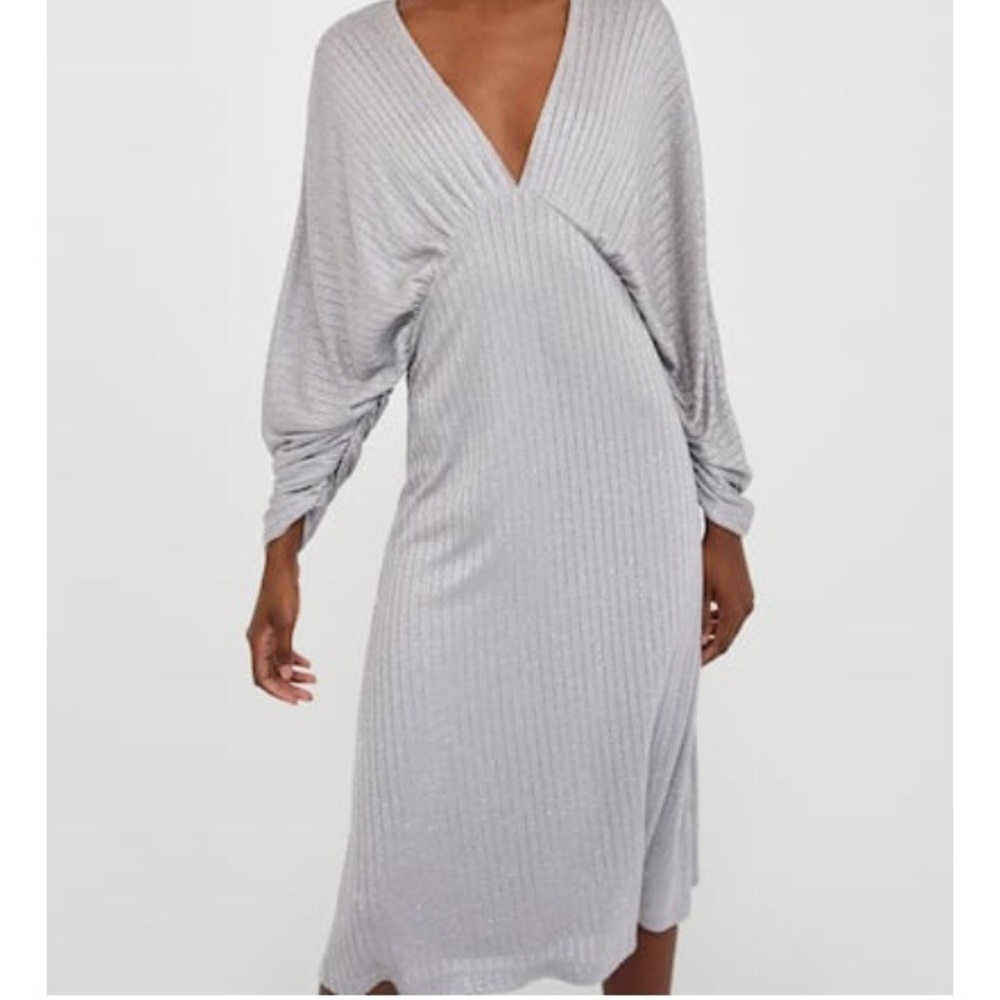 ZARA Sparkly Dress